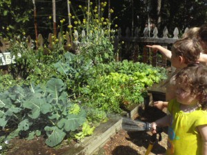 outdoor classroom